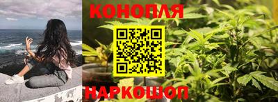 шишки Пенза